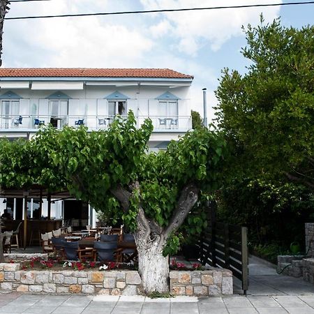 Mirtia Hotel Pefki  Exteriör bild